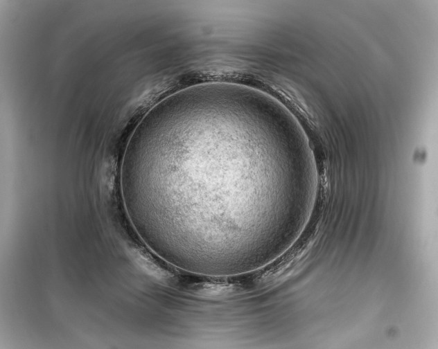 X0000099530458200805161215