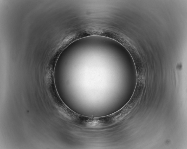 X0000099530460200805161215