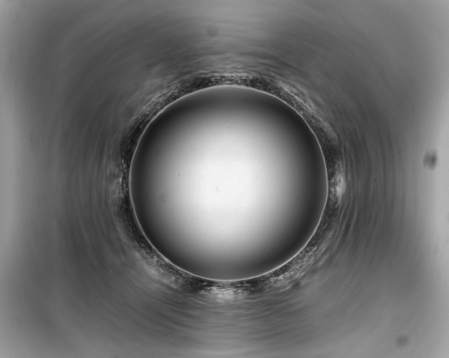 X0000099530464200805161215