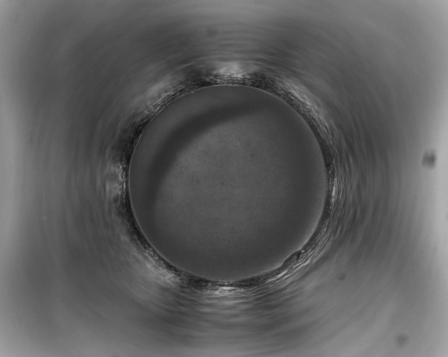 X0000099530467200805161215
