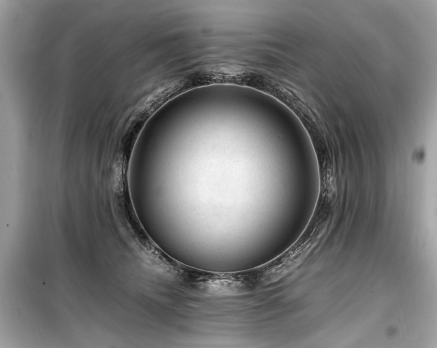 X0000099530468200805161216