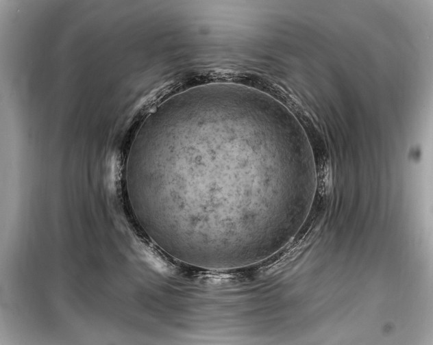 X0000099530472200805161216