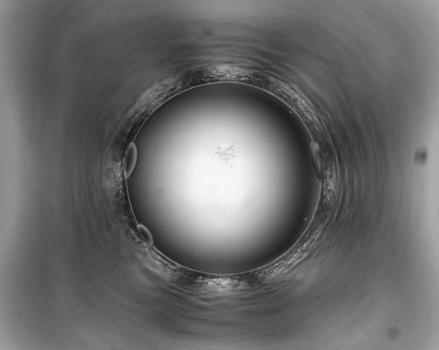 X0000099530473200805161216