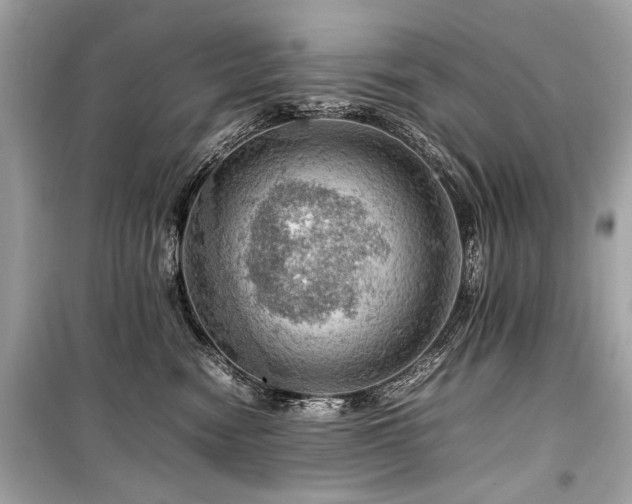 X0000099530474200805161216