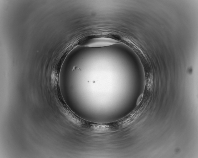 X0000099530476200805161216