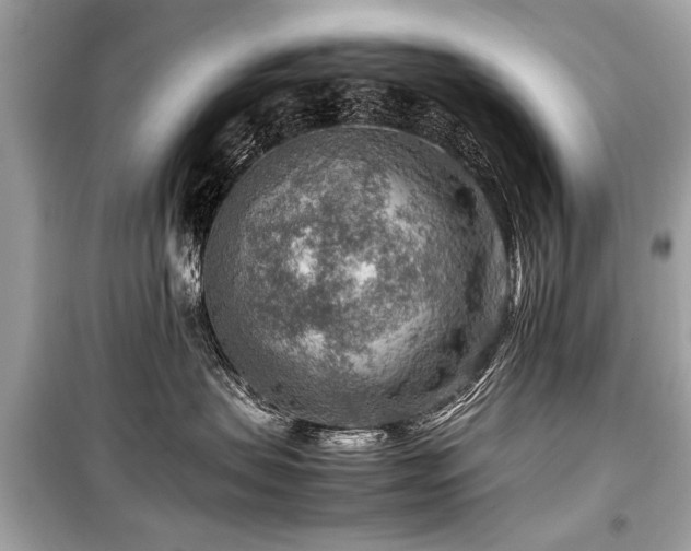 X0000099530479200805161216
