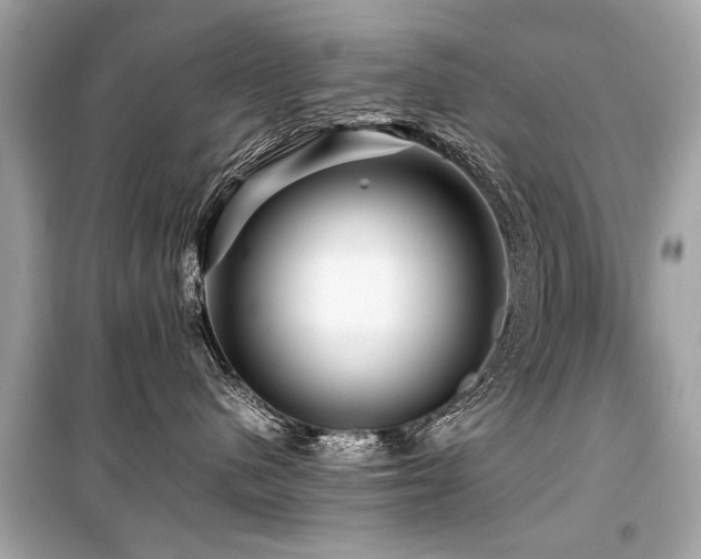 X0000099530480200805161216
