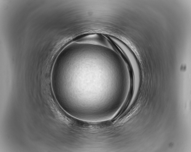 X0000099530481200805161215