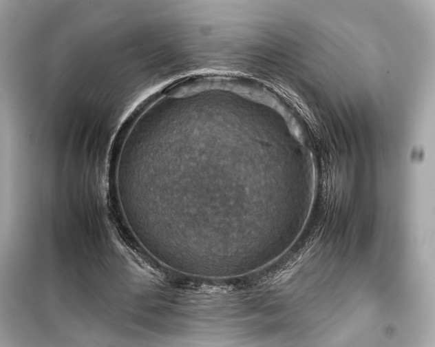 X0000099530484200805161215