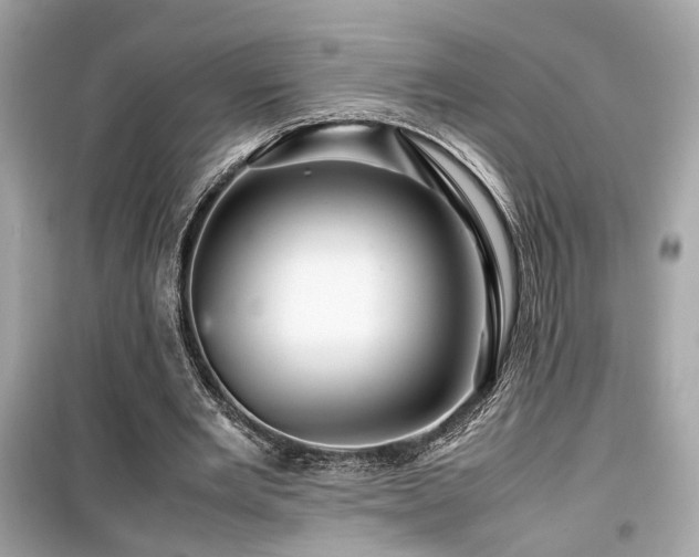X0000099530485200805161215