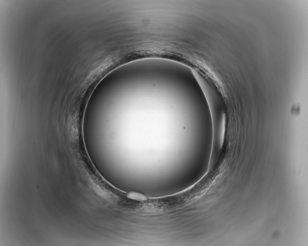 X0000099530489200805161215