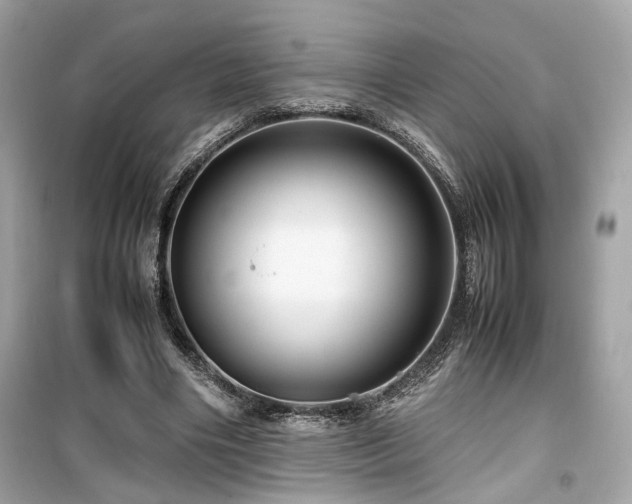 X0000099530490200805161215