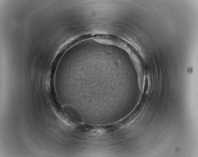 X0000099530492200805161215