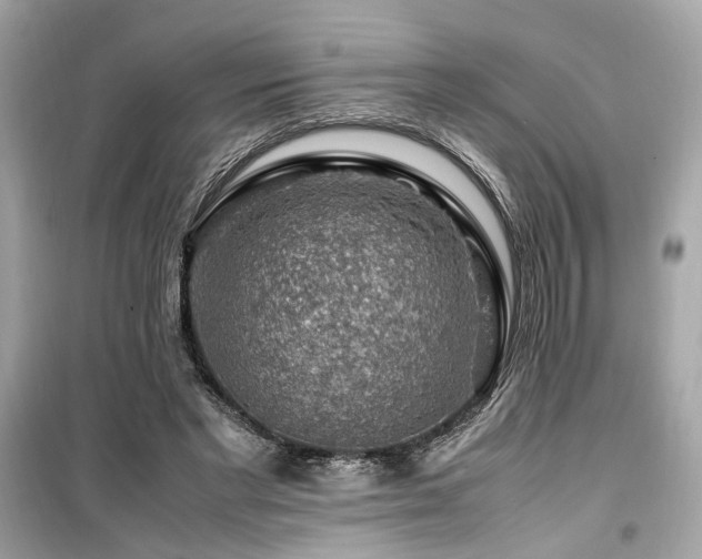 X0000099530493200805161215