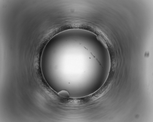X0000099530497200805161215
