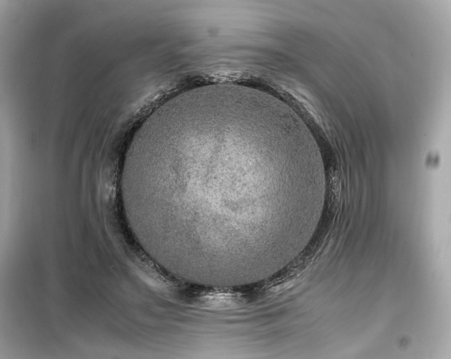 X0000099530499200805161215