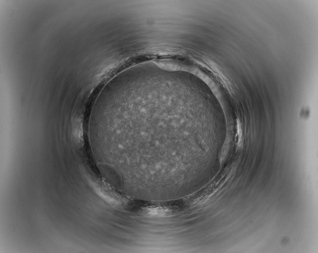 X0000099530500200805161215