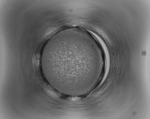 X0000099530501200805161215