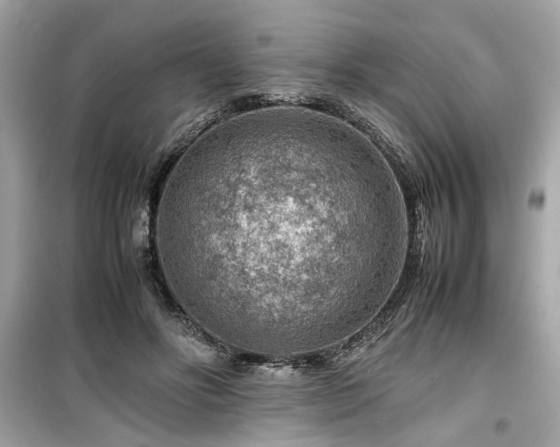 X0000099530502200805161215