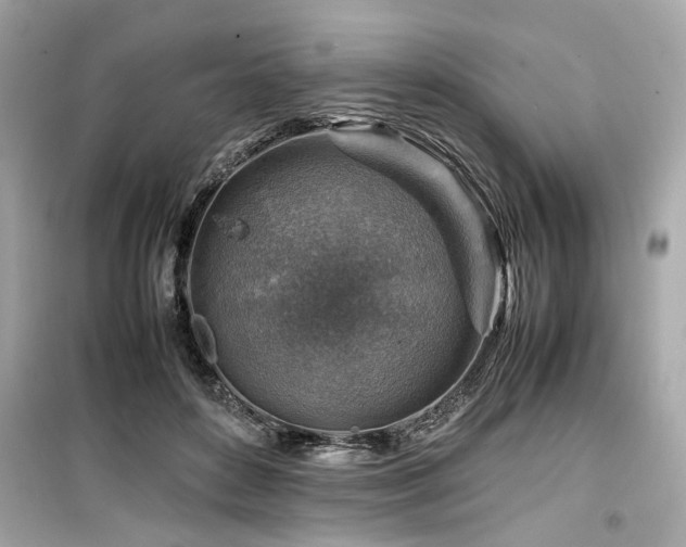 X0000099530504200805161215