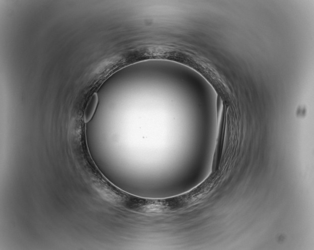 X0000099530505200805161215