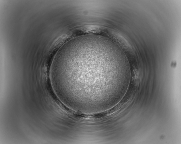 X0000099530506200805161215