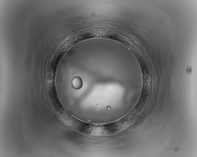 X0000099530507200805161215