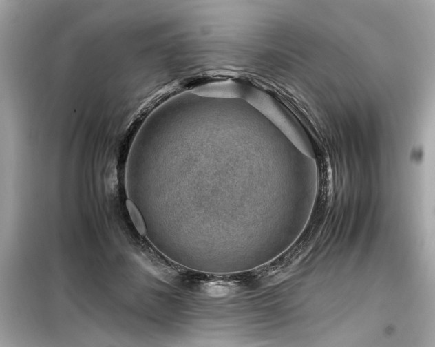 X0000099530508200805161215