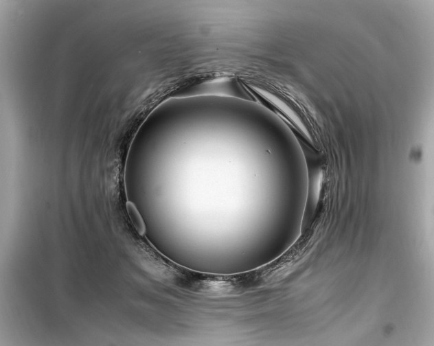 X0000099530509200805161215