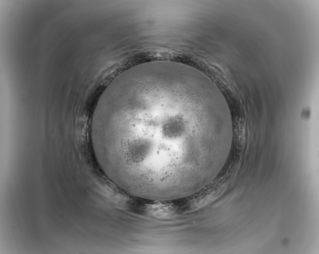 X0000099530511200805161215