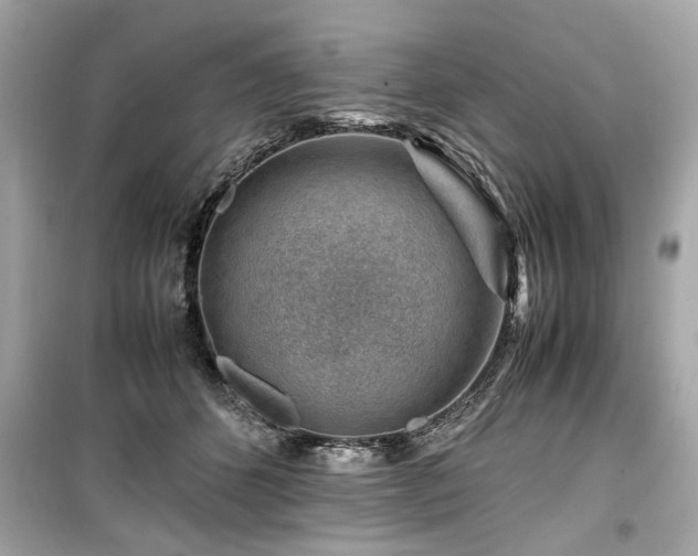 X0000099530512200805161215