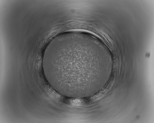X0000099530513200805161215