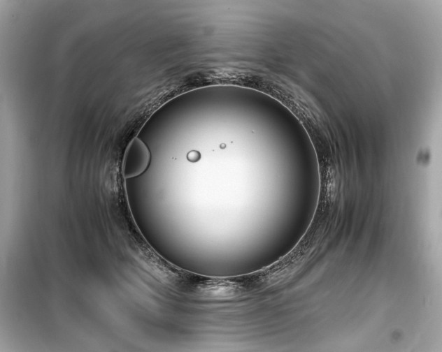 X0000099530514200805161214