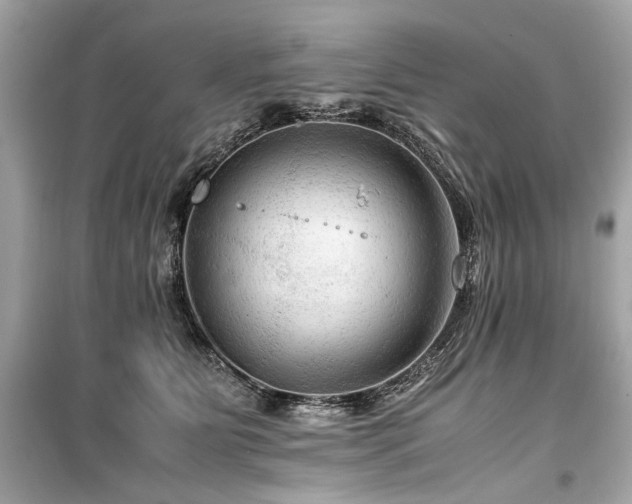 X0000099530515200805161214