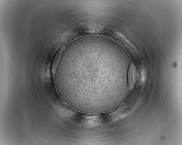 X0000099530516200805161214