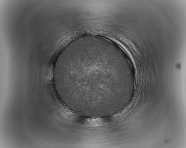 X0000099530517200805161214