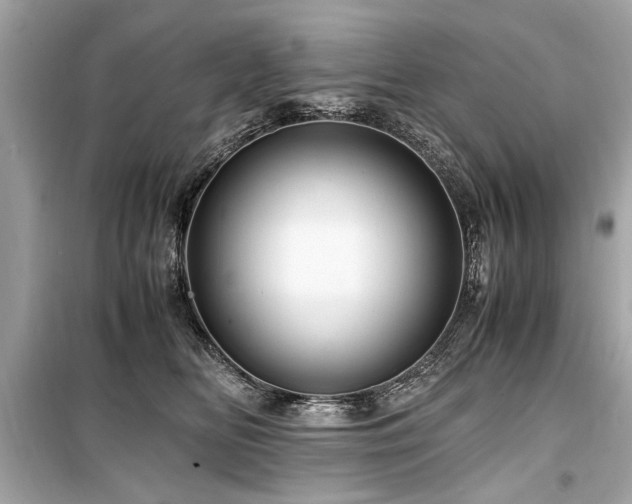 X0000099530518200805161214