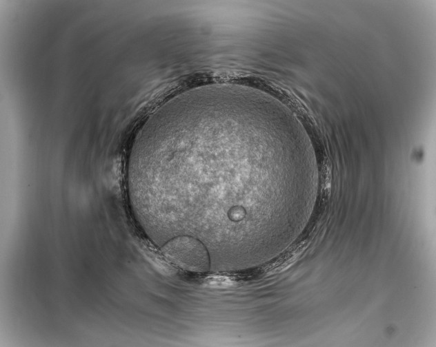 X0000099530519200805161214