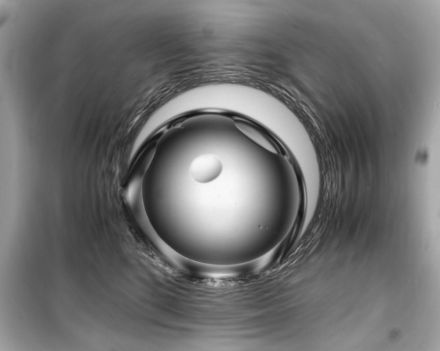 X0000099530520200805161214