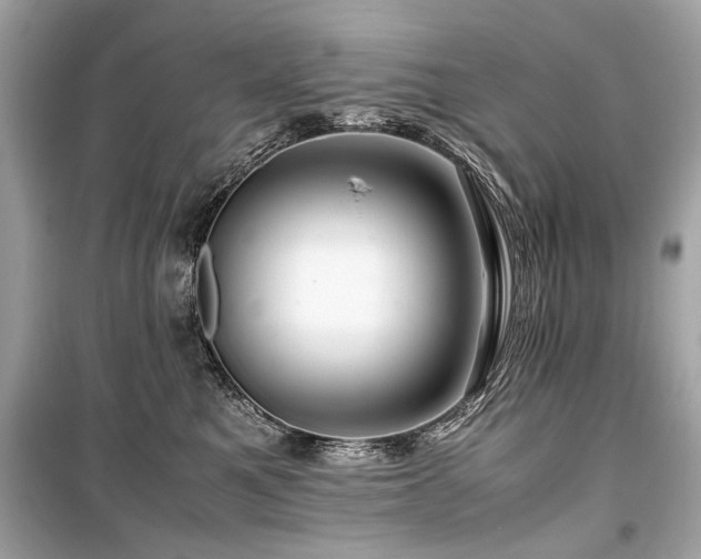 X0000099530521200805161214