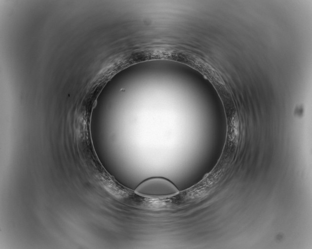 X0000099530522200805161214