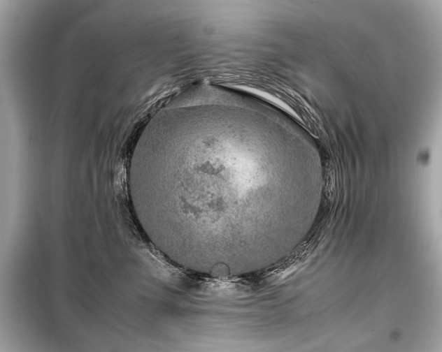 X0000099530523200805161214