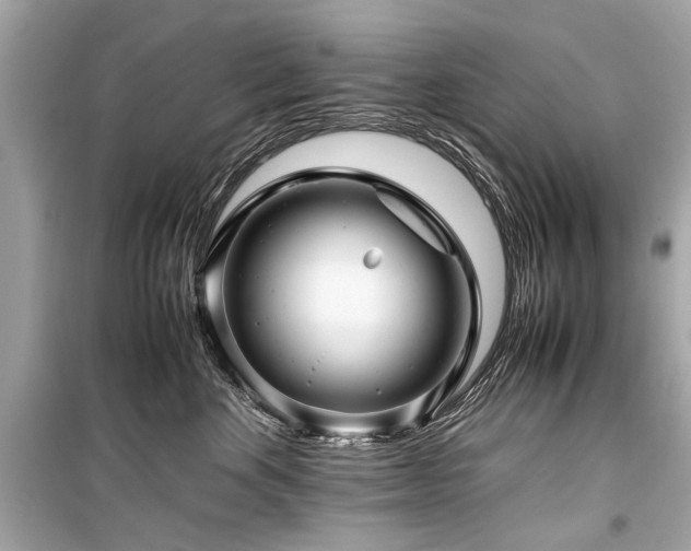 X0000099530524200805161214