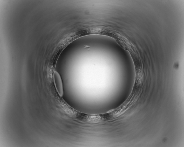 X0000099530525200805161214