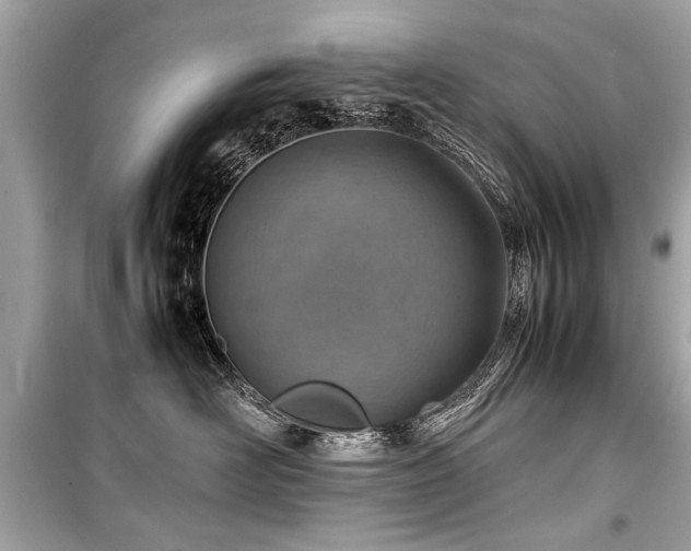 X0000099530526200805161214