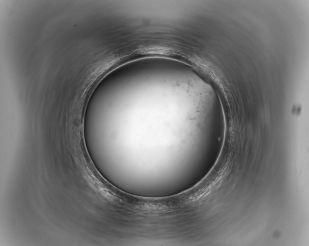 X0000099530529200805161214
