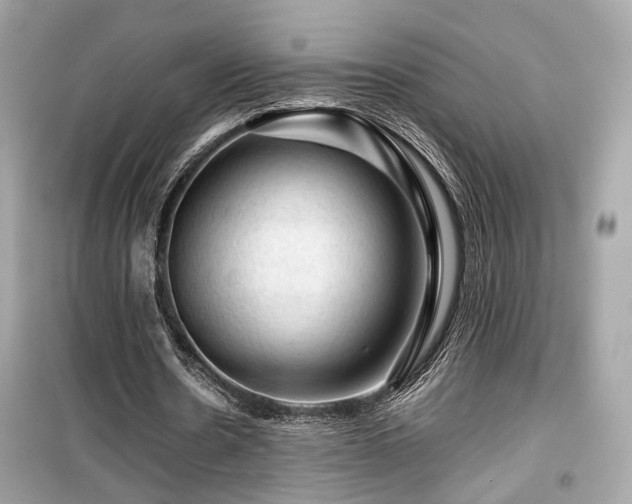 X0000099530530200805161214