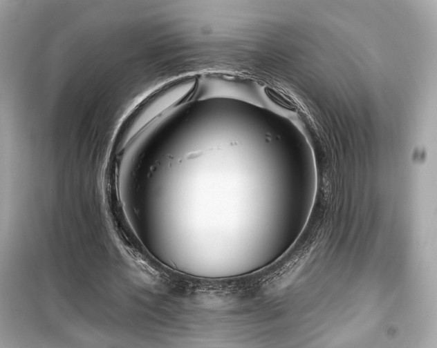 X0000099530532200805161214
