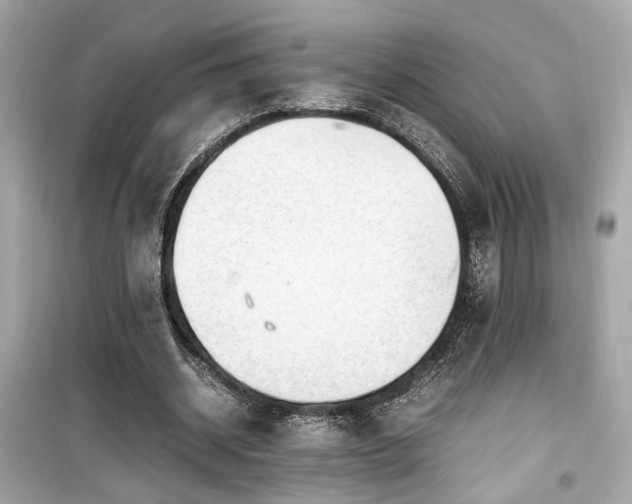X0000099530534200805161214