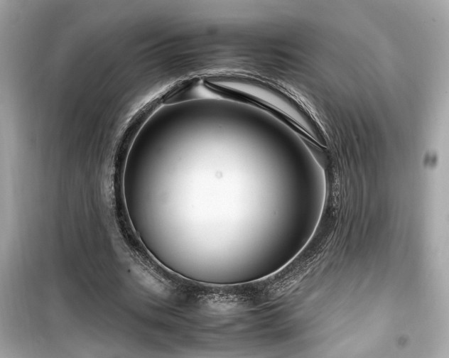 X0000099530535200805161214